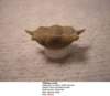 thaleopsovata2_small.jpg